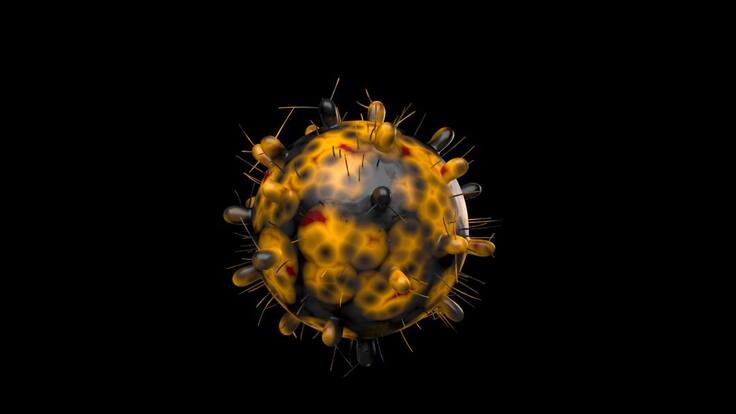 La Columna de Carlos Arcaya: «Ómicron»