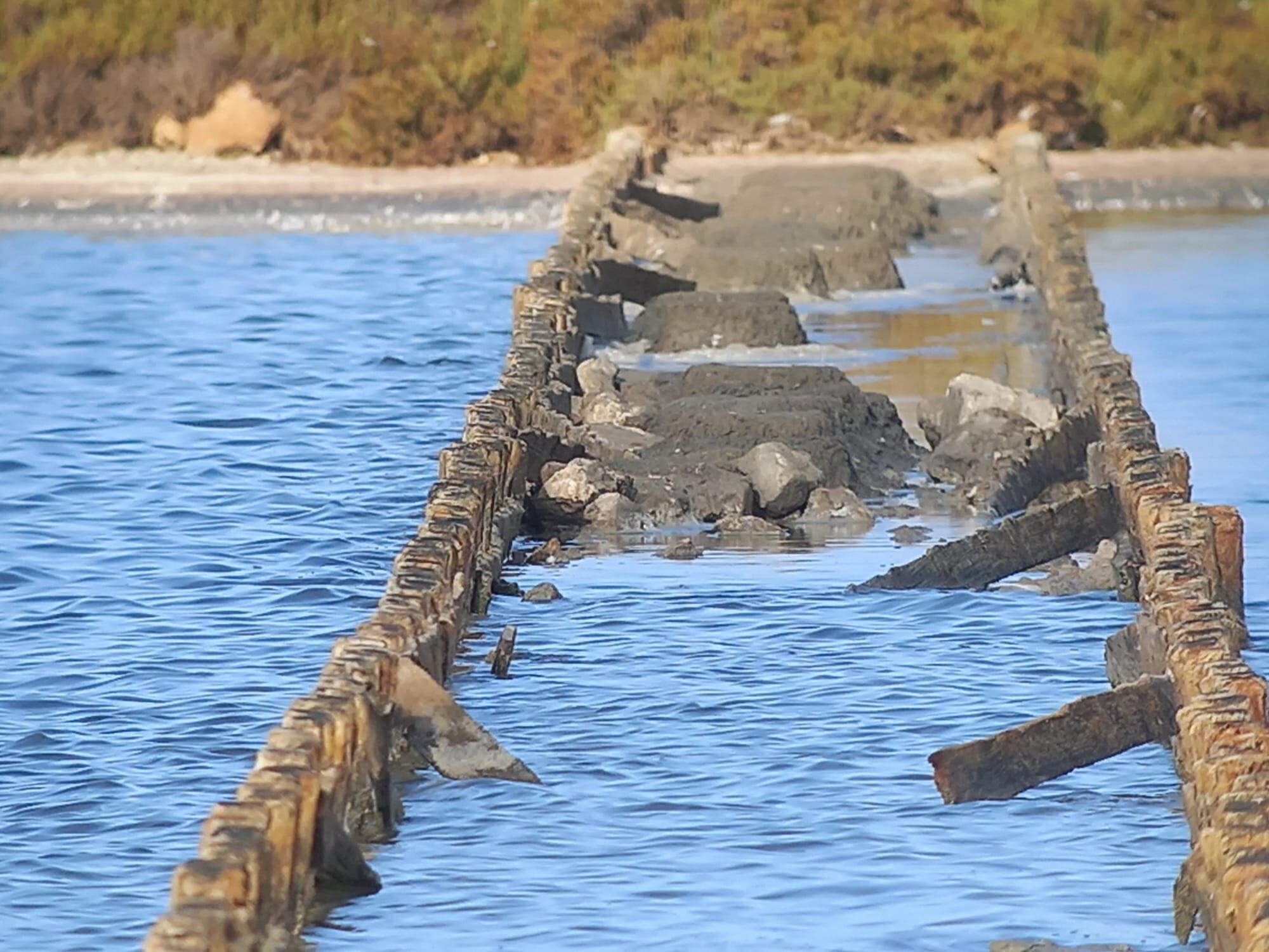 Imagen de la zona de ses Salines