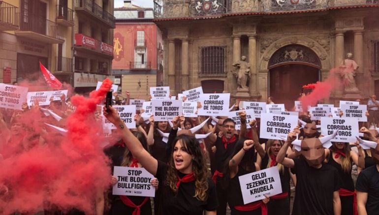 Protesta antitaurina en Pamplona