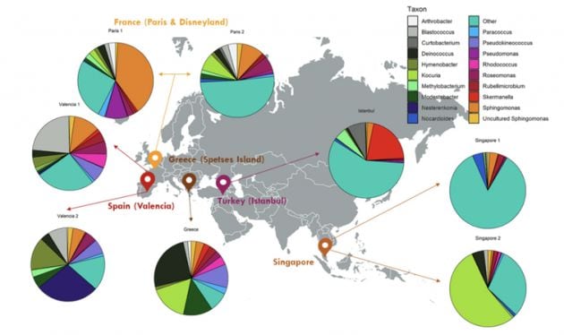 Perfiles taxonómicos de las muestras de chicles recogidos del suelo de cinco países diferentes.