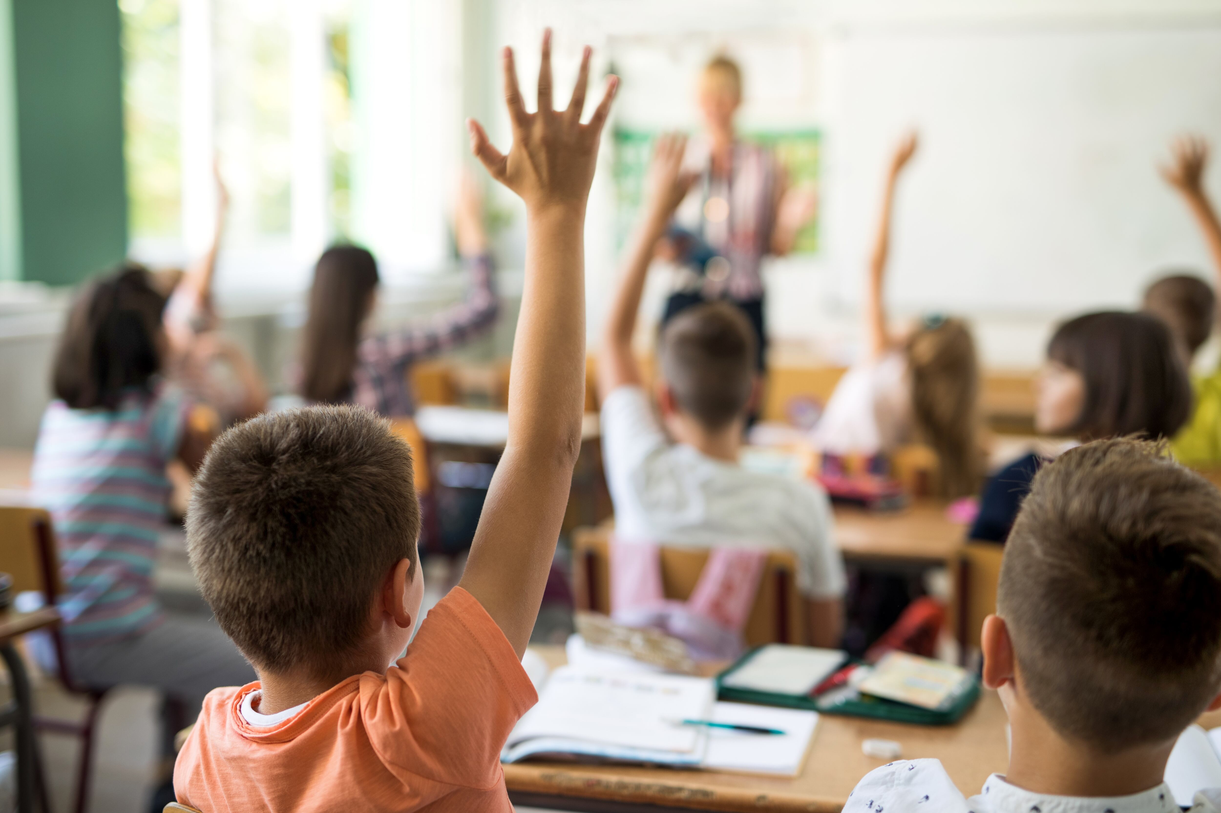 La propuesta aboga por una educación sexual integral adapatada a cada etapa educativa