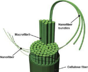 Les nanofibres aporten resistència i capacitat d&#039;enllaçar.