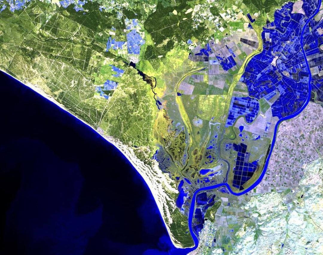 Ortofotografía a falso color del satélite Lansat 8 correspondiente al 2 de diciembre de 2020