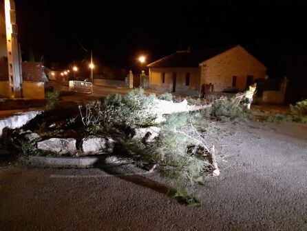 El fuerte viento derribó varios árboles en Valdeprados