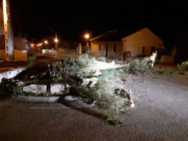 El fuerte viento derribó varios árboles en Valdeprados