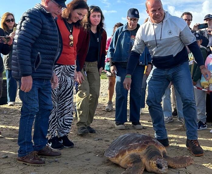 Suelta de una de las tortugas en Sanlúcar