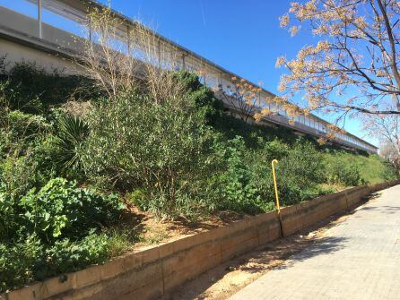 Talud línea de Tren Cercanías