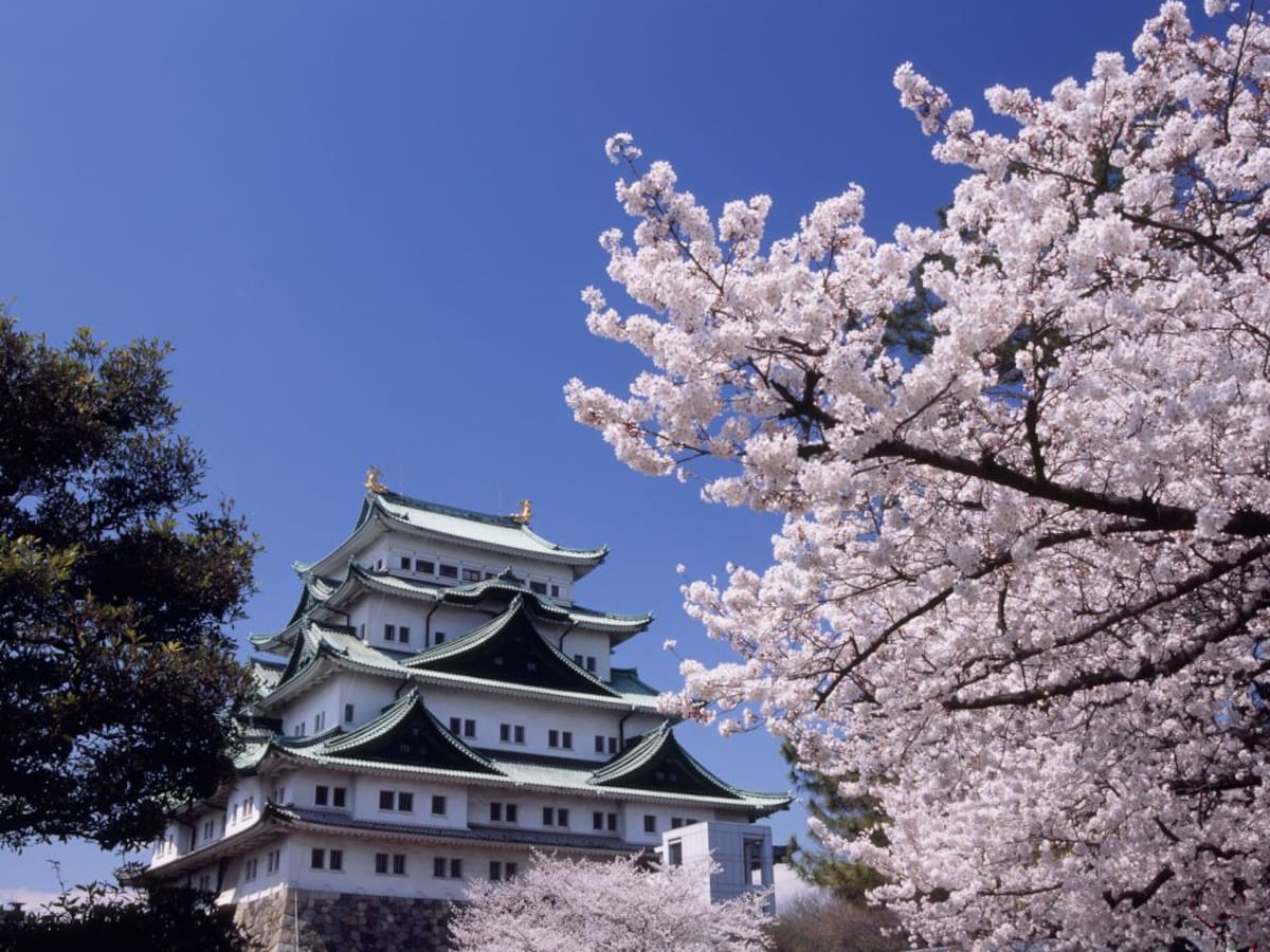 José: un trotamundos que ahora disfruta de Japón