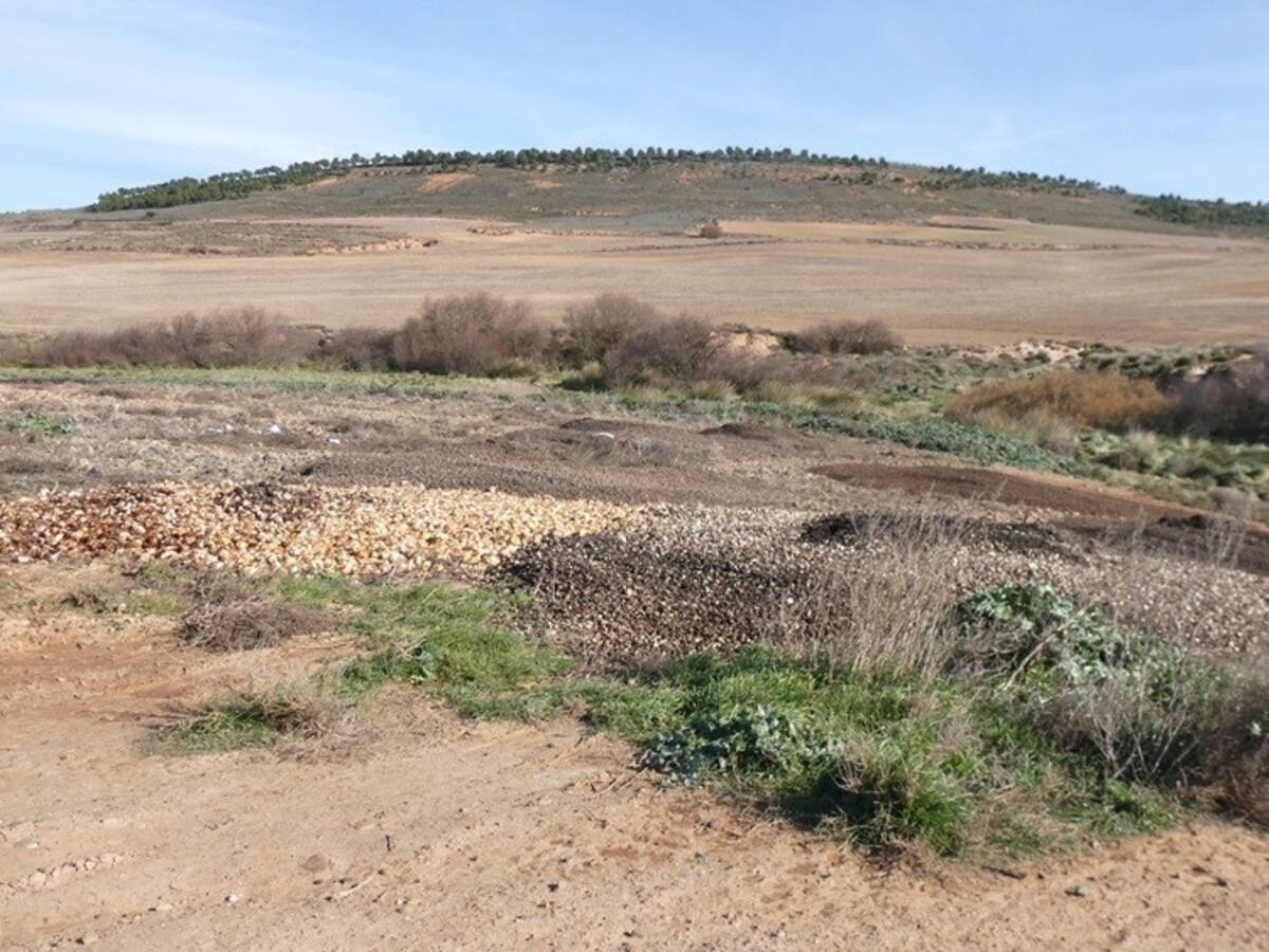 Amigos de la Tierra denuncia un nuevo vertido incontrolado en Pradejón