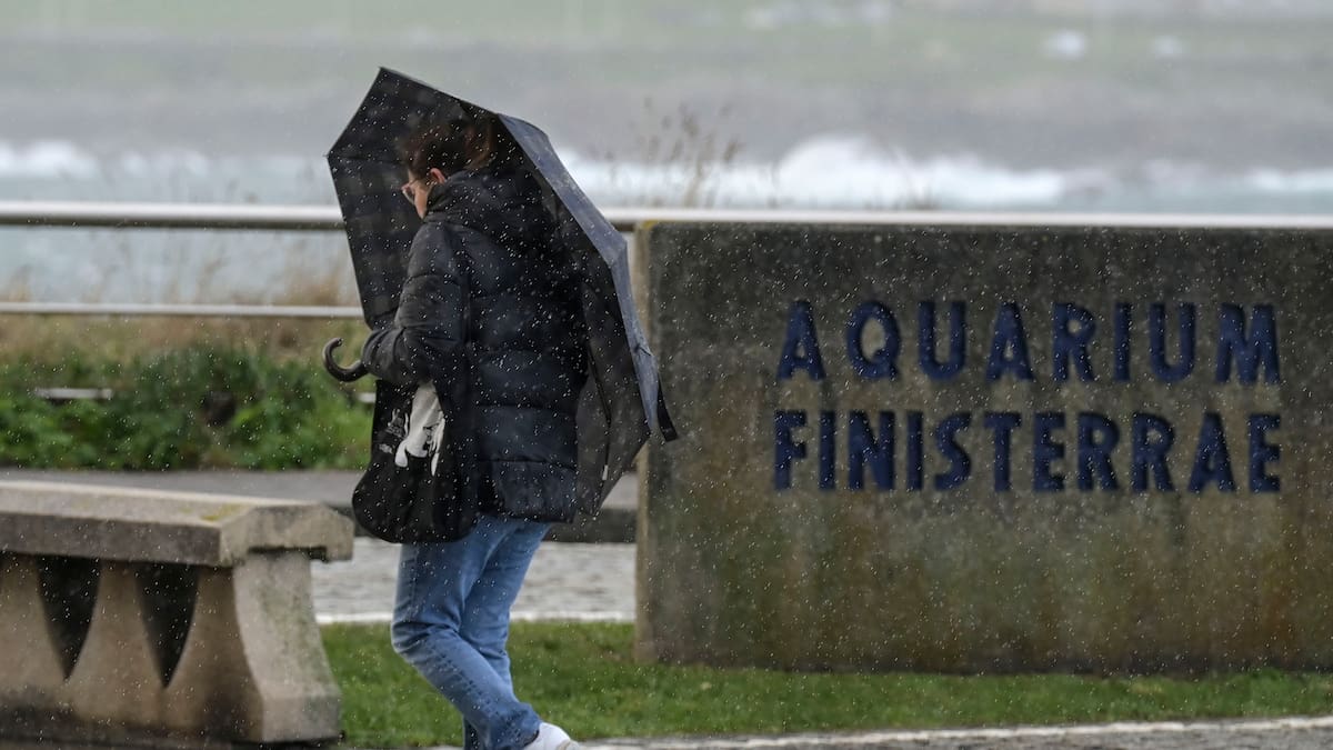 Javier Sopelana, doctor ingeniero de Caminos, fundador de Acuática ingeniería civil