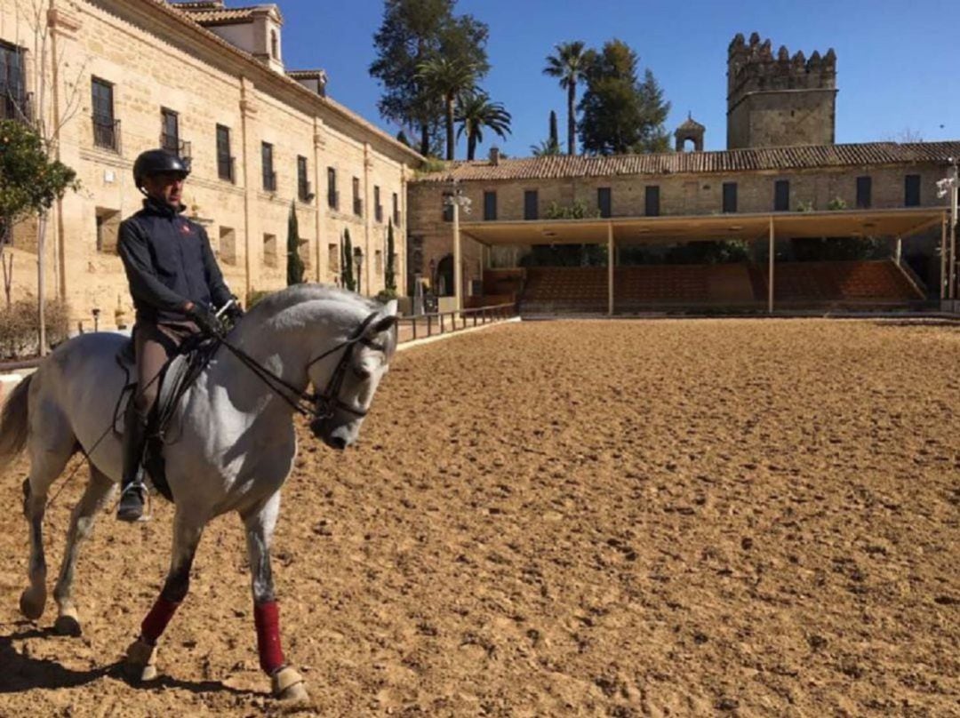 Un caballo entrena en la pista principal de Caballerizas Reales. Córdoba