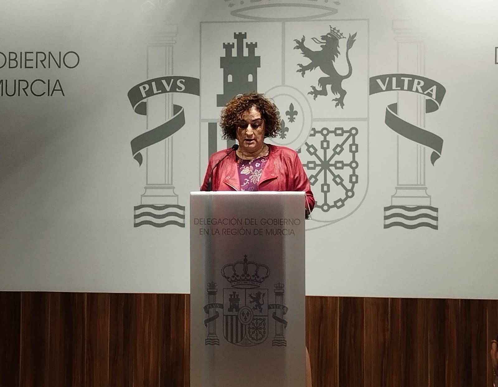 Caridad Rives, delegada del Gobierno, este miércoles en rueda de prensa