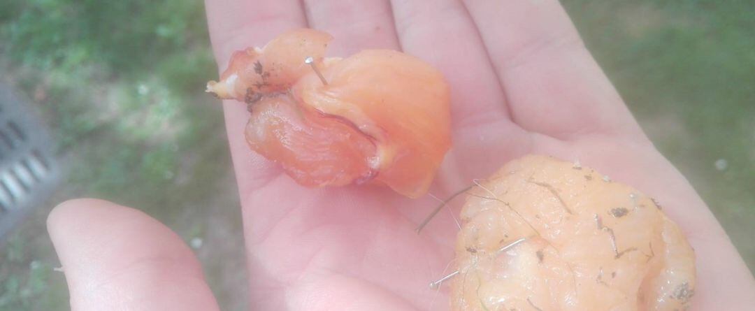 Trozos de comida con alfileres encontrada en la Sagrada Familia de A Coruña