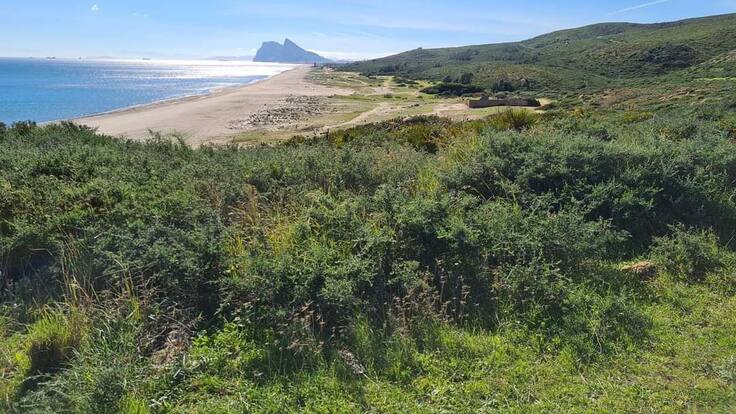 El alcalde de La Línea moviliza a Ayuntamiento y colectivos sociales frente a Red Eléctrica y la intalación de una subestación en el municipio