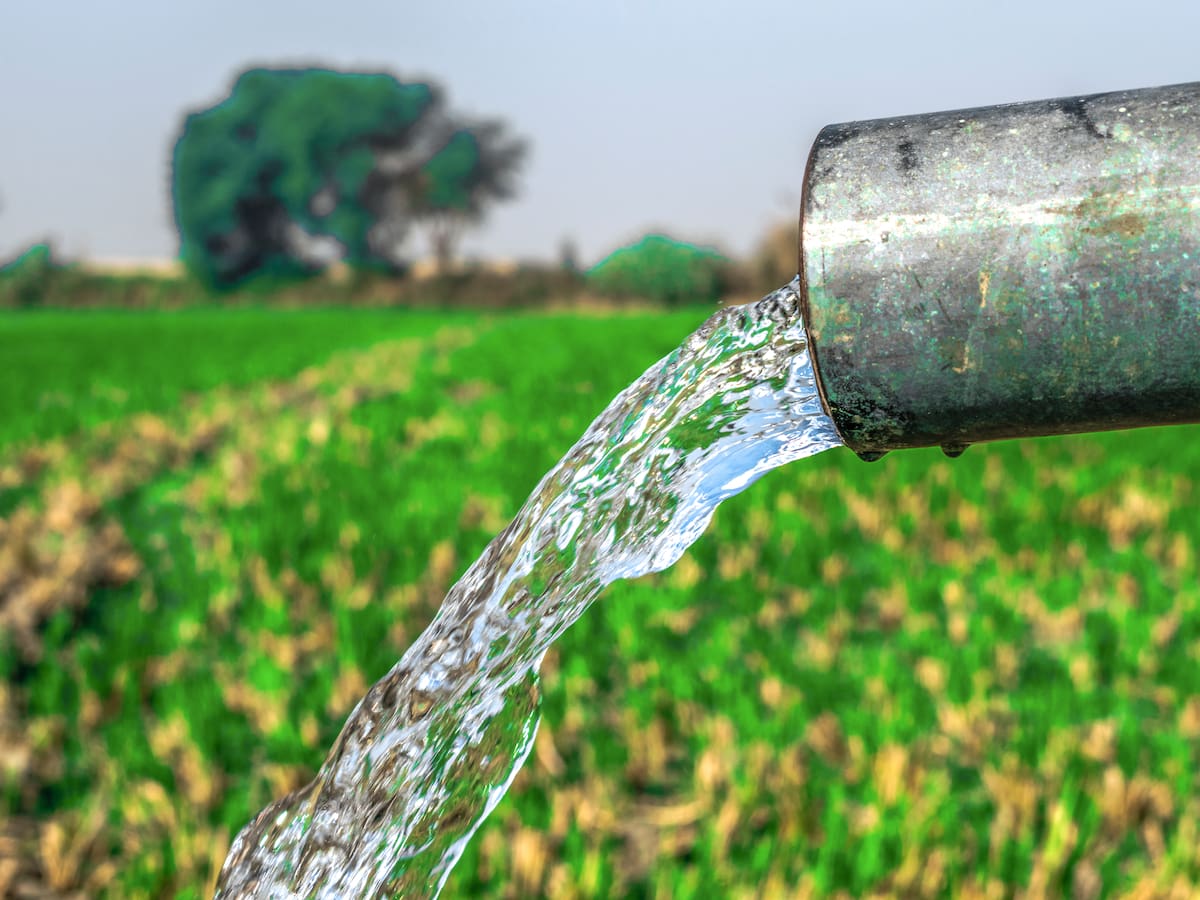 Decide desviar el agua de lluvia de su casa a la propiedad del vecino y las autoridades aprueban su picardía