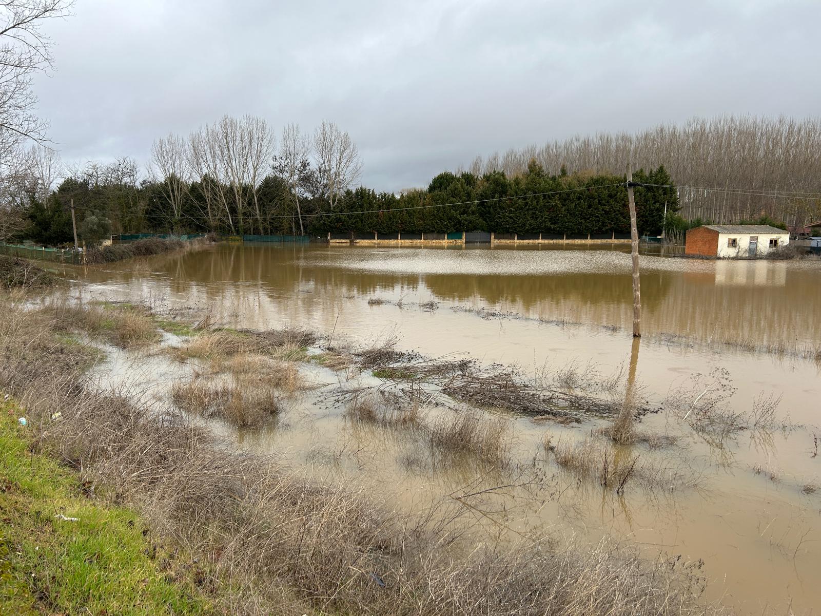 Las aguas del Órbigo alcanzan las huertas de Benavente