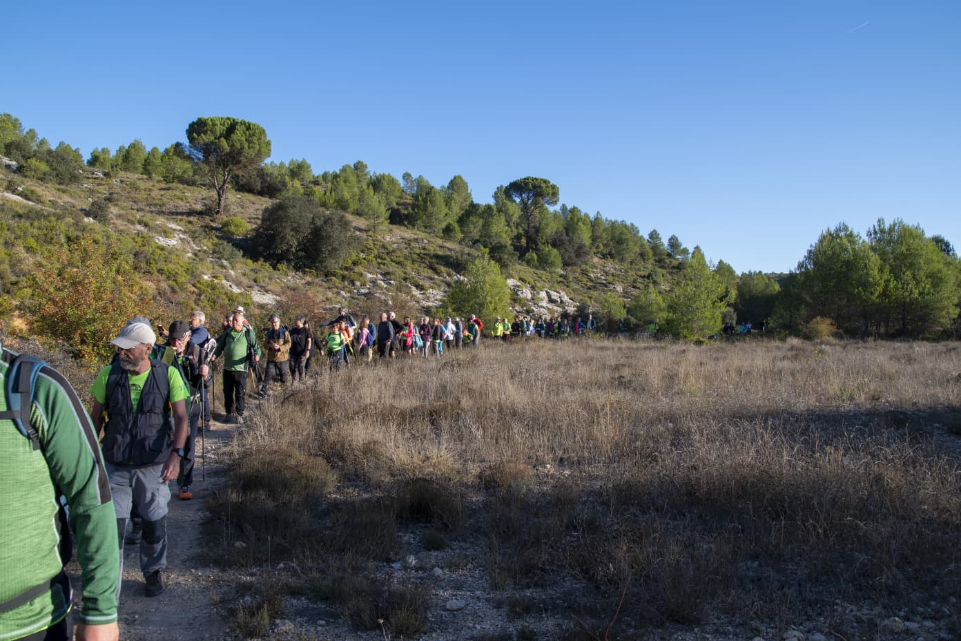 Aviana en Banyeres de Mariola
