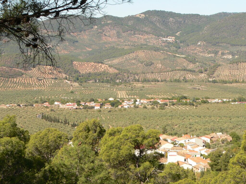 Panorámica de Cortijos Nuevos.