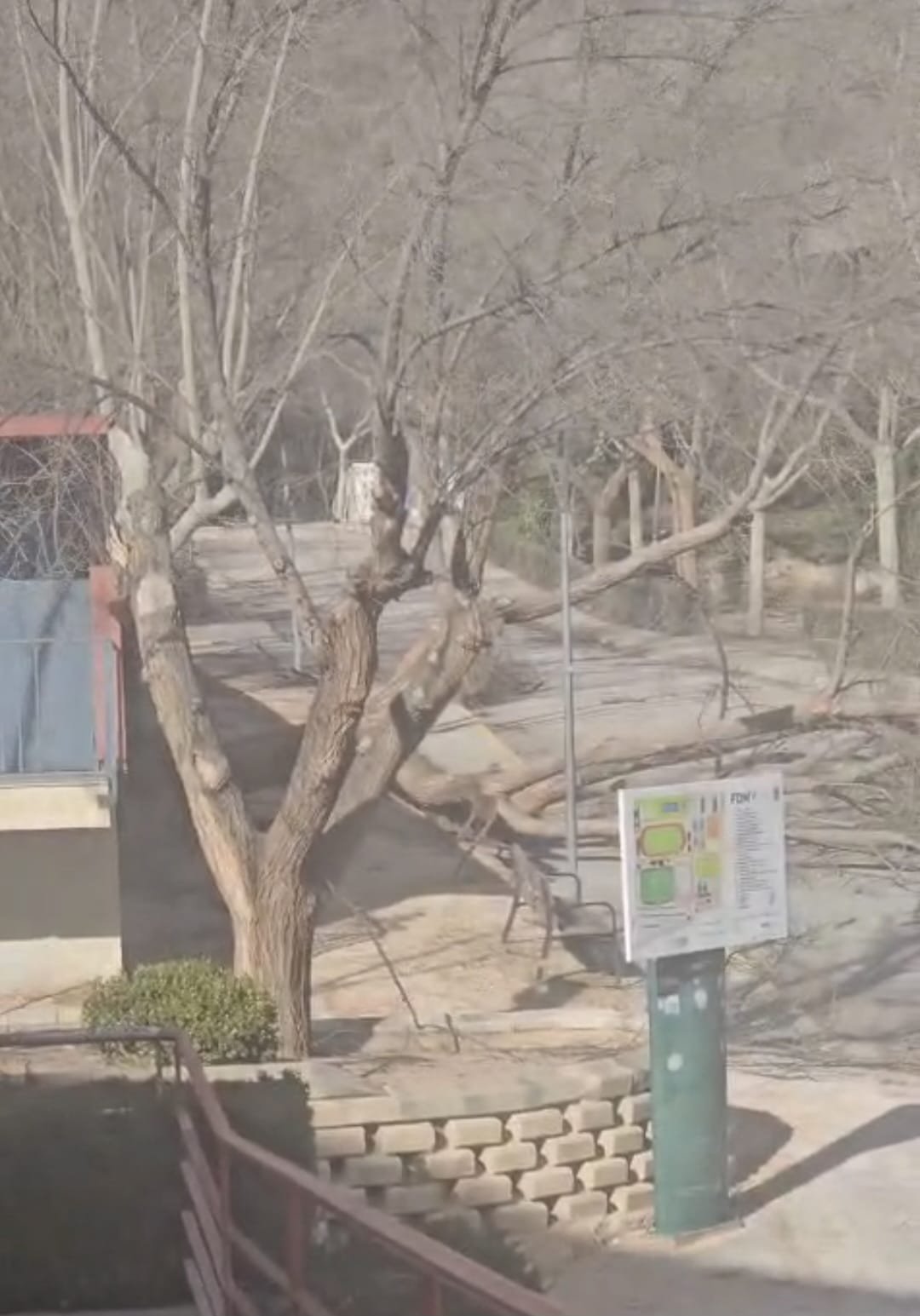 Efectos del viento en Villena