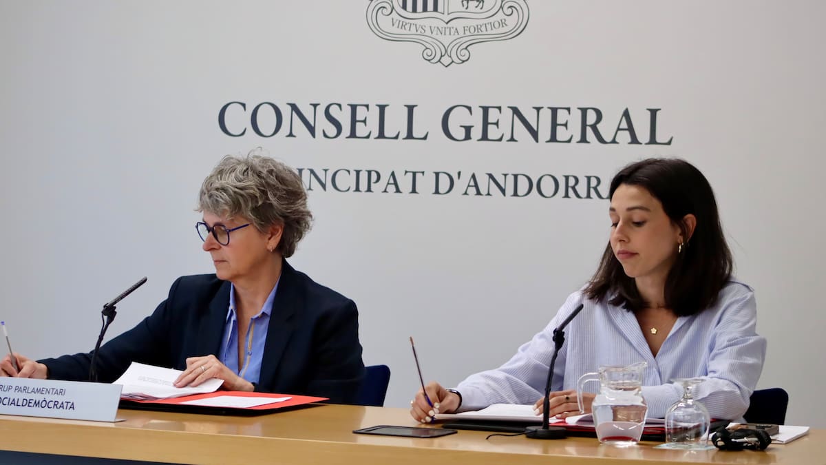 El PS proposa regular l'avortament lliure fins a les 14 setmanes i per casos més específics, fins a les 22