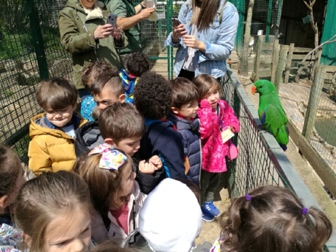 Visita del colegio al Zoo