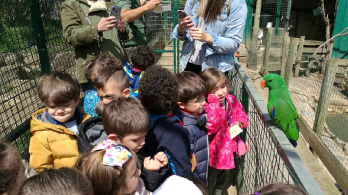 Zoológico el Bosque