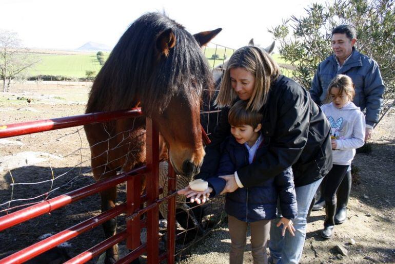 Una actividad con animales en una de las casas rurales de la red solidaria