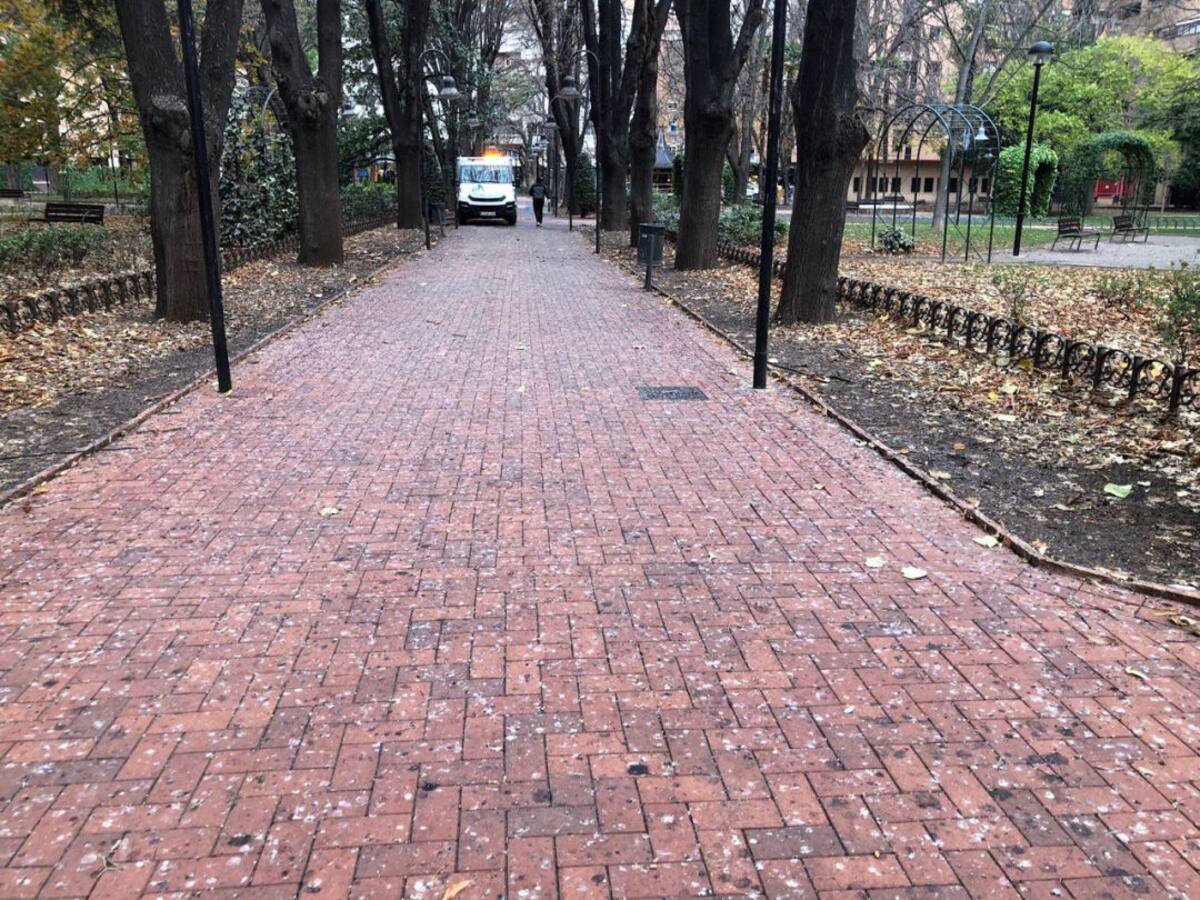 El ayuntamiento de Logroño adjudica este miércoles el contrato de control de los Estorninos