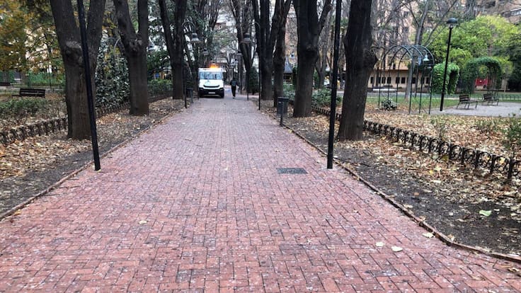 El ayuntamiento de Logroño adjudica este miércoles el contrato de control de los Estorninos