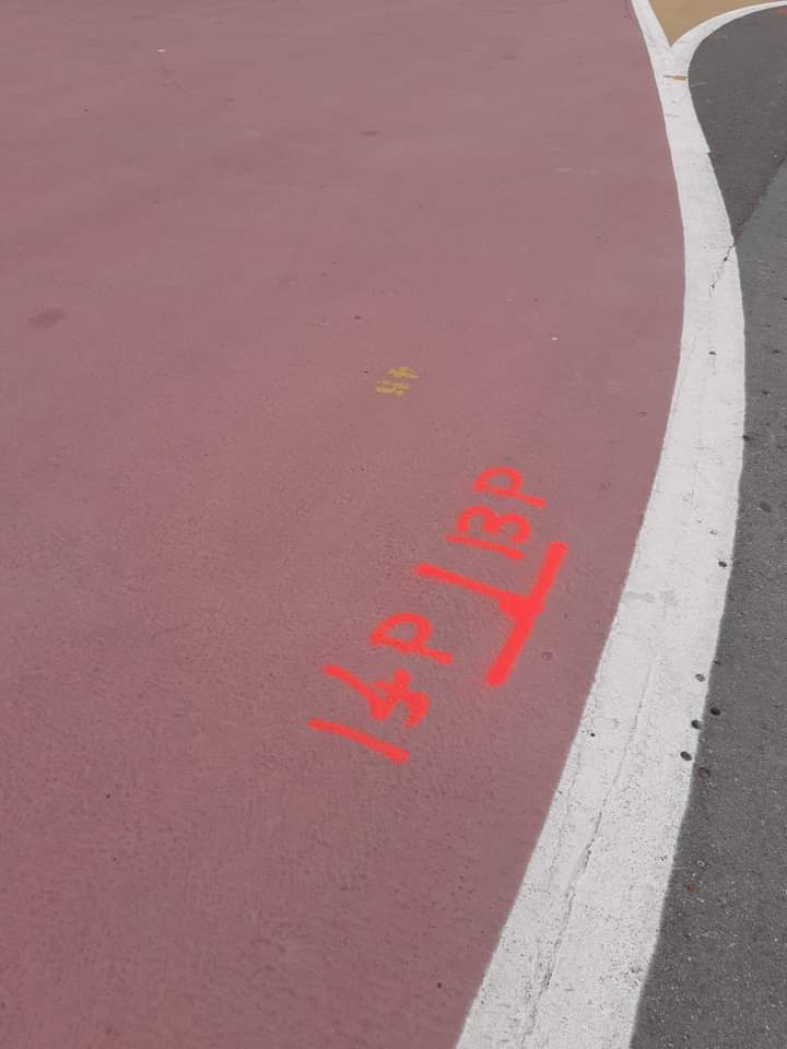 Pavimento del recinto ferial