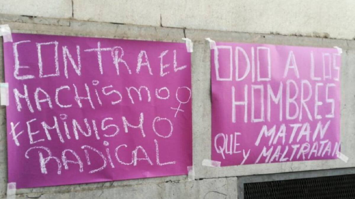 Informe 13: Feminismo radical, sexo y género