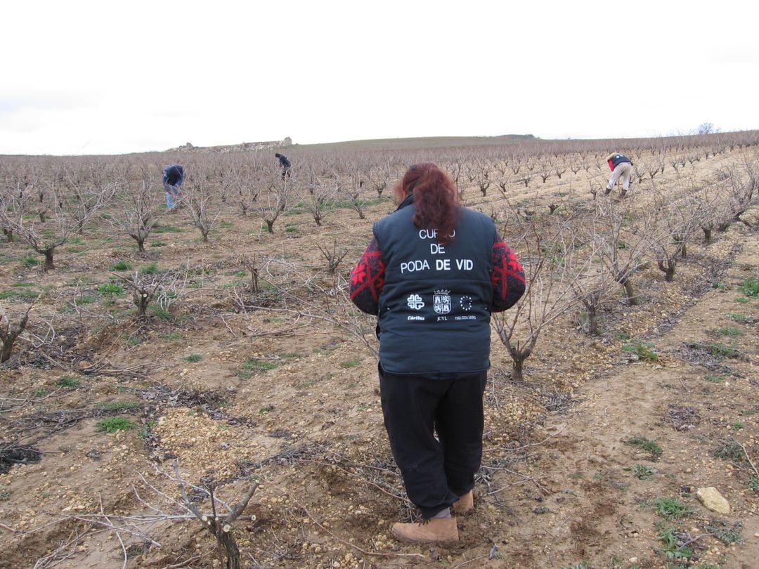 Las labores agrícolas salvan los datos del mes de febrero