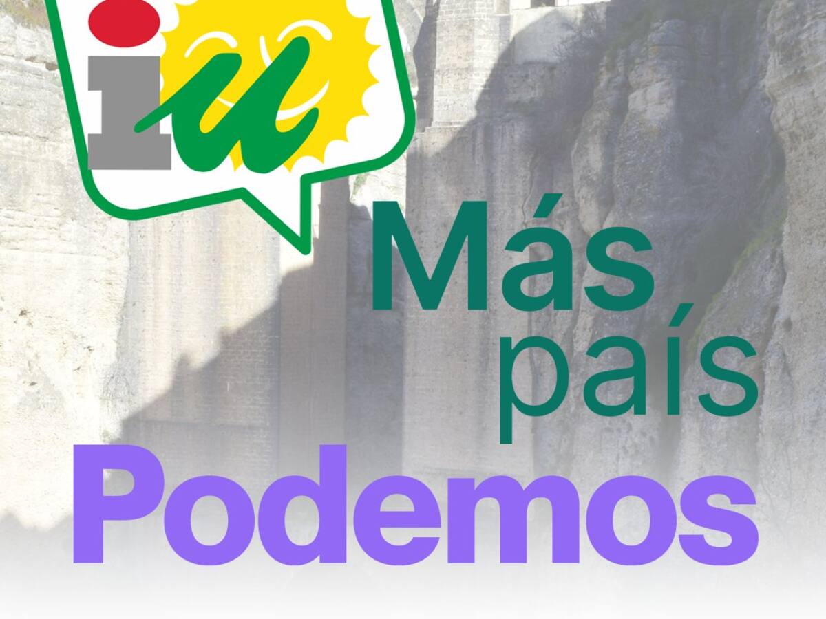 Izquierda Unida, Podemos y Más País presentarán una única candidatura a las elecciones municipales