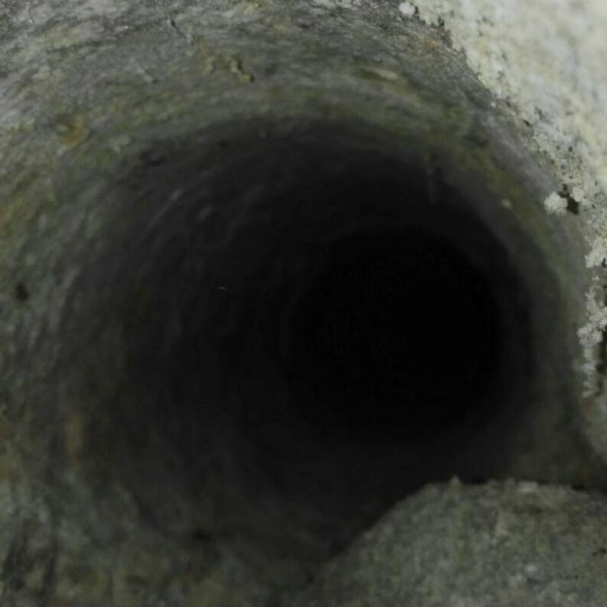 "Dicen que no hay agua y se ve con solo asomarse"