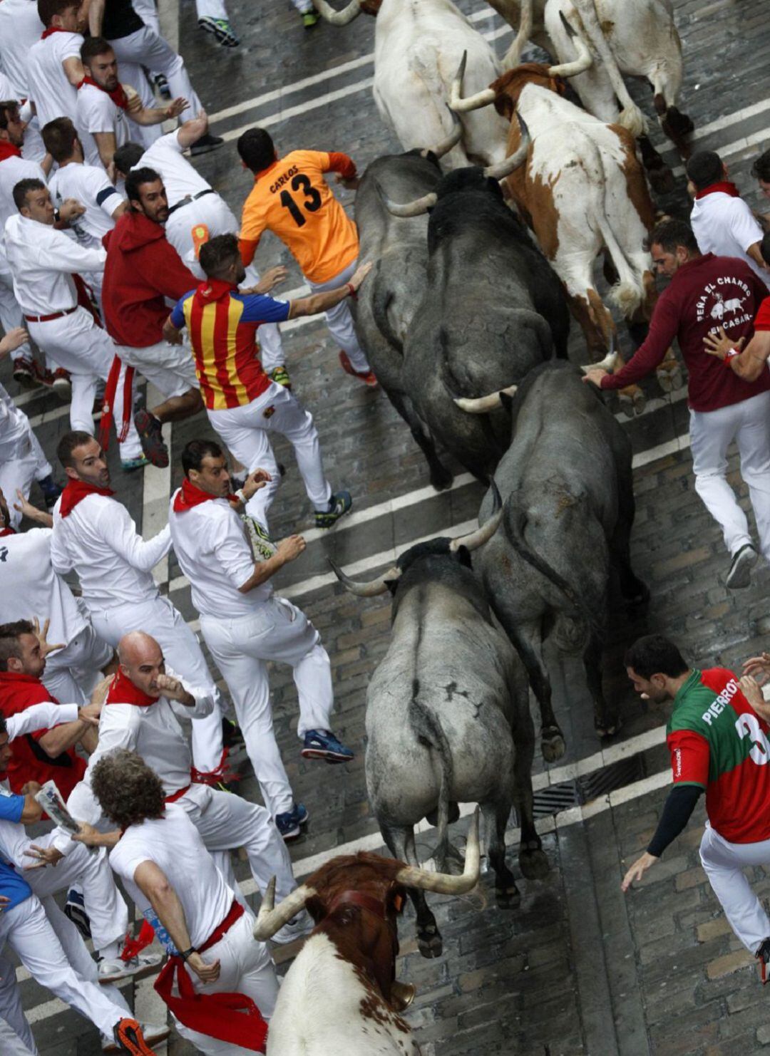 Los toros de José Escolar corren por la Estafeta; un mozo ataviado con una camiseta naranja corre asiendo el pitón izquierdo de un astado, mientras otro posa su mano sobre el lomo del mismo animal