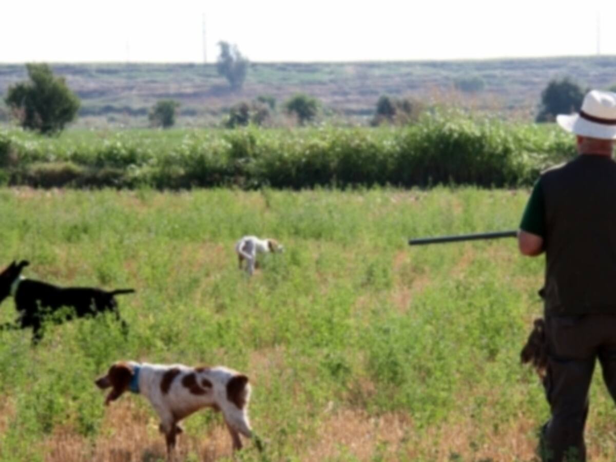 Agricultura contractarà 13 guies de caça