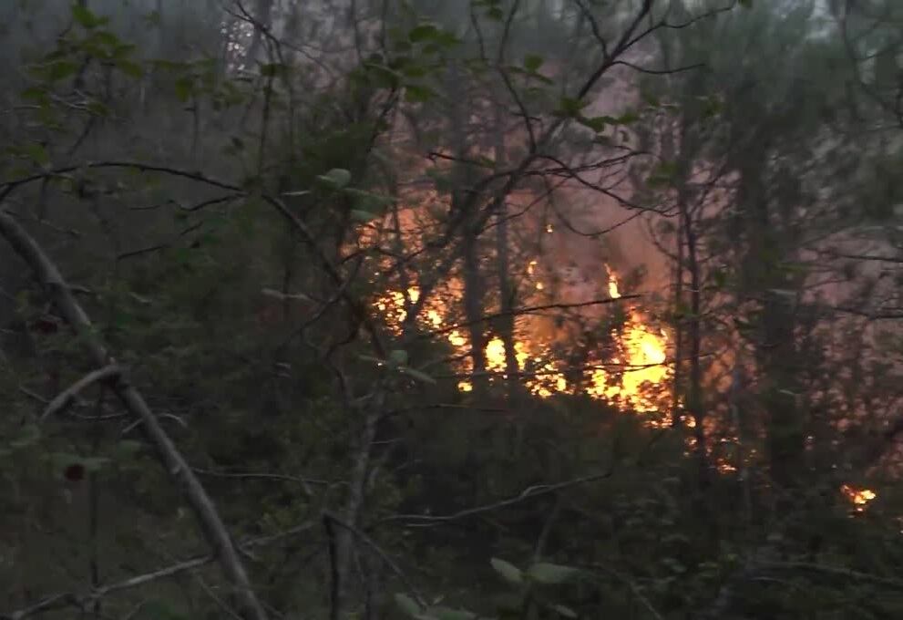 Imagen del reciente incendio en la Sierra de la Culebra