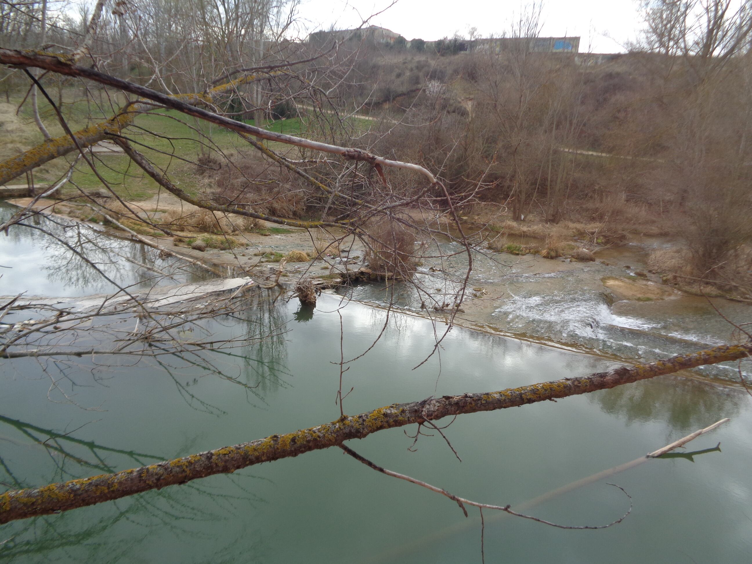 Vistas del Río Arandilla desde las ventanas del Centro de Arte Joven