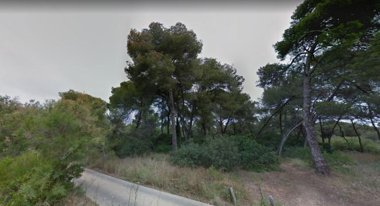 Camino del Saler donde se ha encontrado a la mujer herida