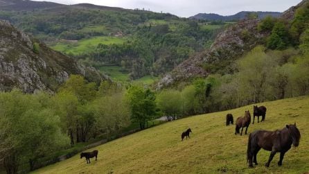 Vista zona rural concejo de Piloña