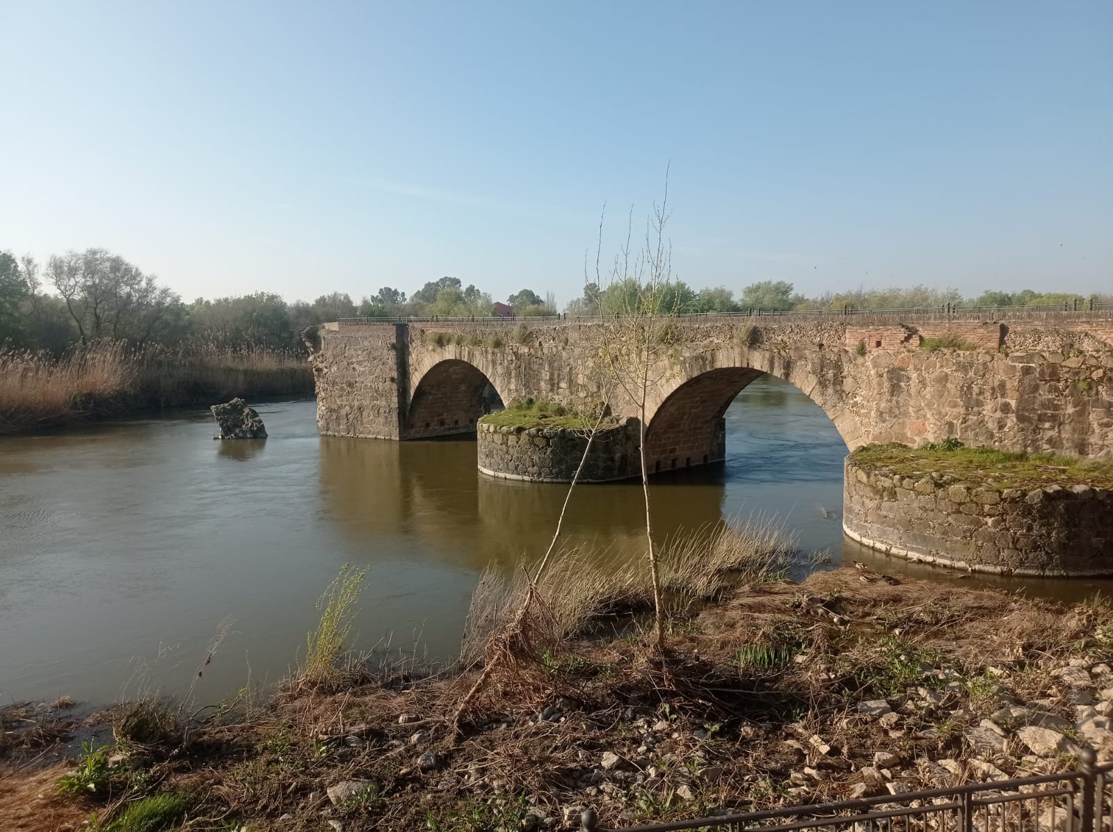 Vista del Puente Viejo de Talavera de la Reina, un año después de su derrumbe parcial