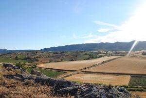 Paisaje alcarreño desde el yacimiento de la Cava.