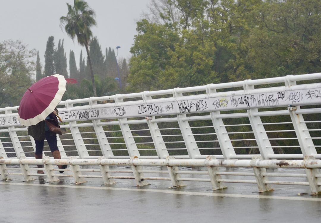 Un persona se protege de la lluvia y el viento caminando por la pasarela peatonal de la Cartuja en un día lluvioso y con fuertes rachas de viento en la provincia