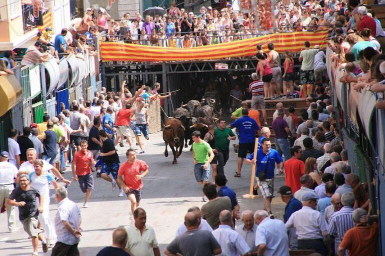 Una de las actuaciones de bous al carrer de las fiestas locales de Pedreguer. 