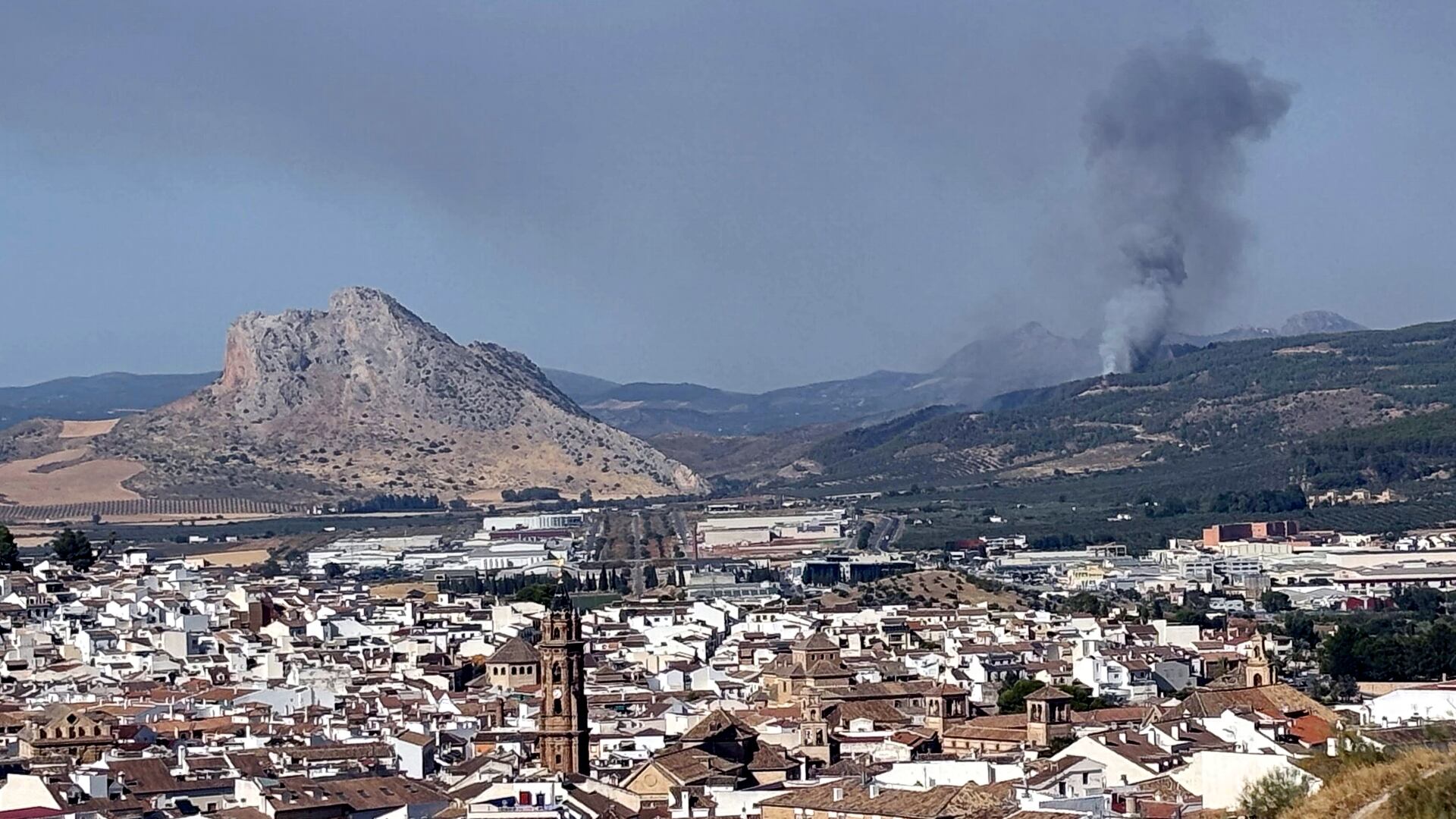 Incendio forestal en el 'Cortijo Guerrero'Ja de Antequera