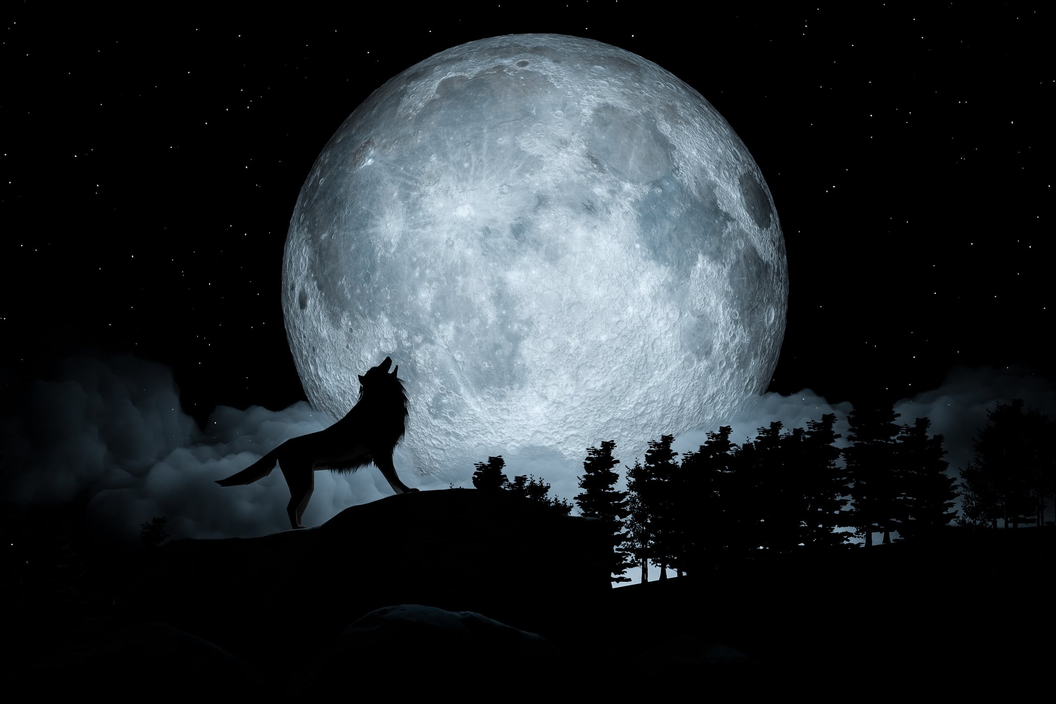 Howling Wolf Dark Background. Full Moon and the Wilderness. 3d illustration