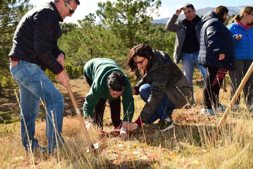 Jornada de reforestación en la Sierra de Baza