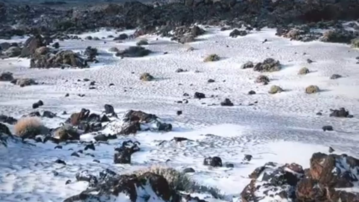 COMENTARIO CASTAÑEDA 22 MARZO