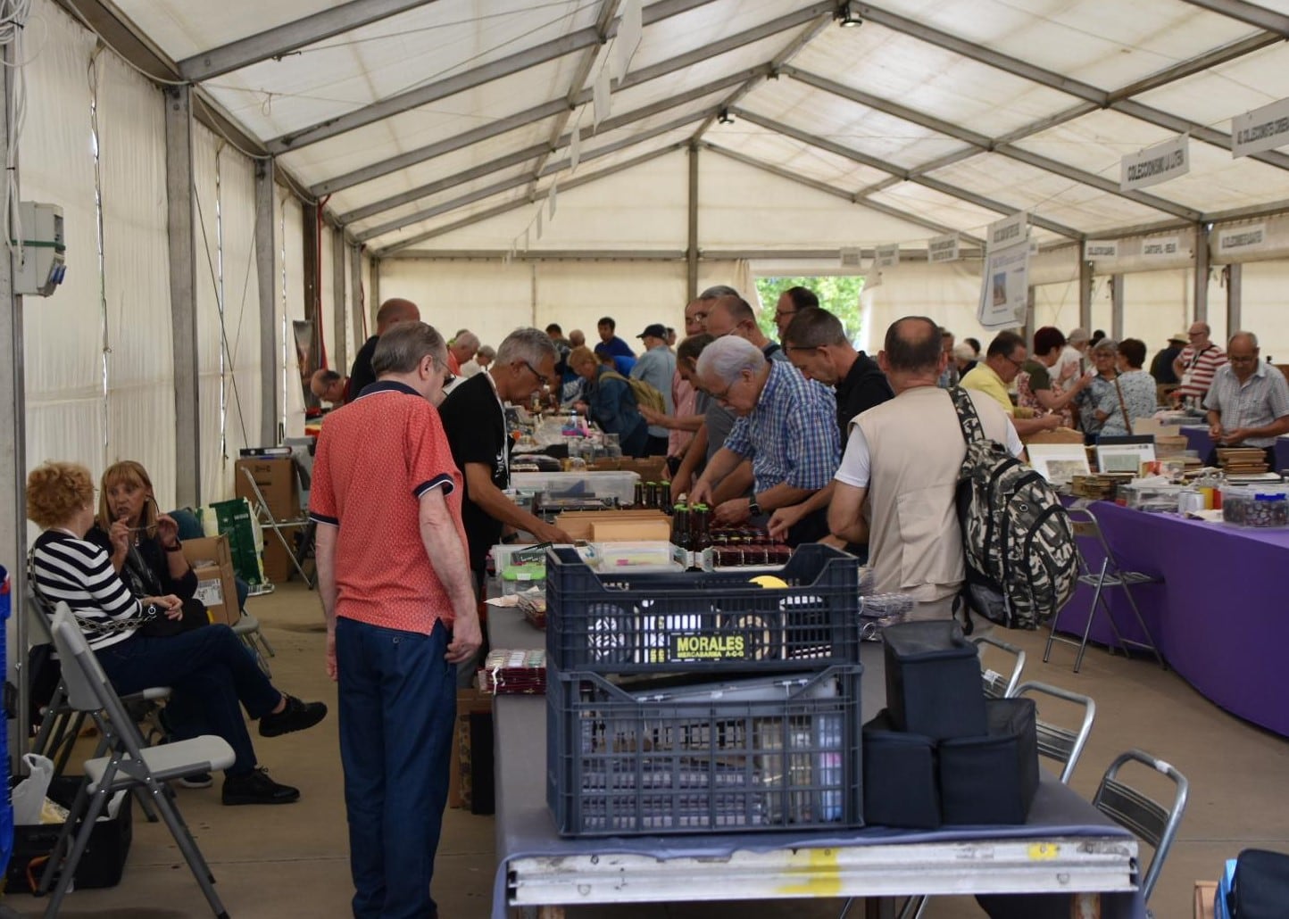 Imagen de archivo de Replega 