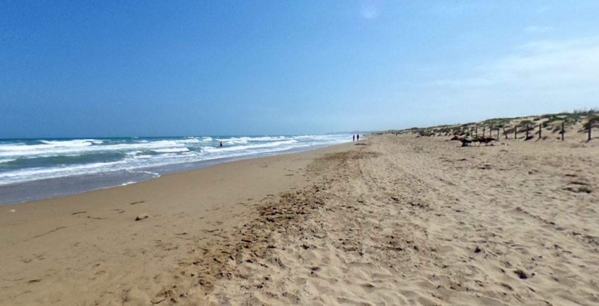 Playa del Montcaio, en Guardamar del Segura. Foto: Google Maps